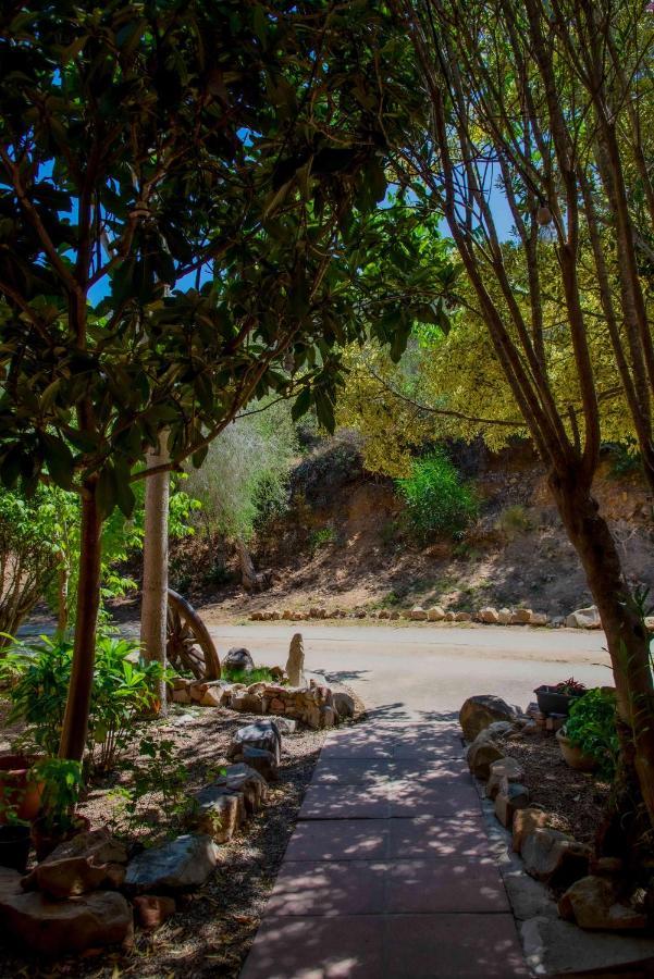 Hotel L'Oleandro Villasimius Εξωτερικό φωτογραφία